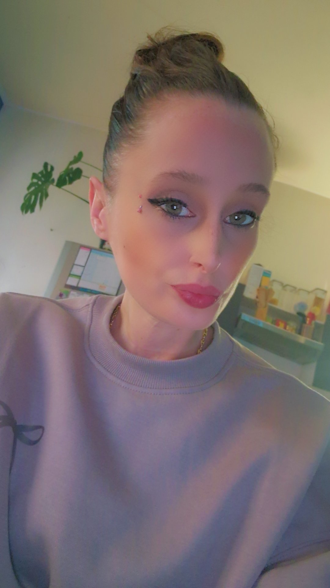 Elodie, aide ménagère à Lille – Club Tidy