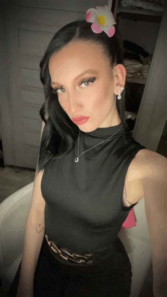 Femme de ménage Mons en baroeul Emilie